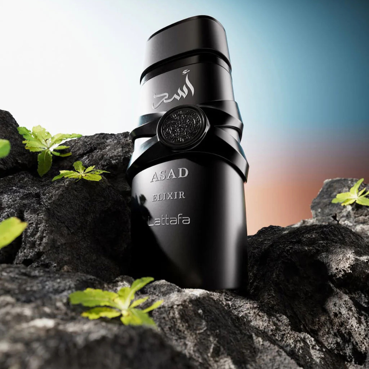Asad Elixir Eau de Parfum 100ml by Lattafa